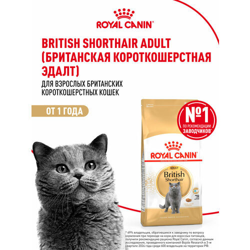 Сухой корм для кошек Royal Canin для британской породы, 2 кг