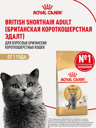 Изображение товара Сухой корм для кошек Royal Canin Adult для британской породы, 4 кг
