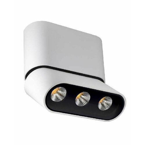 Светодиодный спот Lumien Hall Фергус 80053CS-WT-BK 12548₽