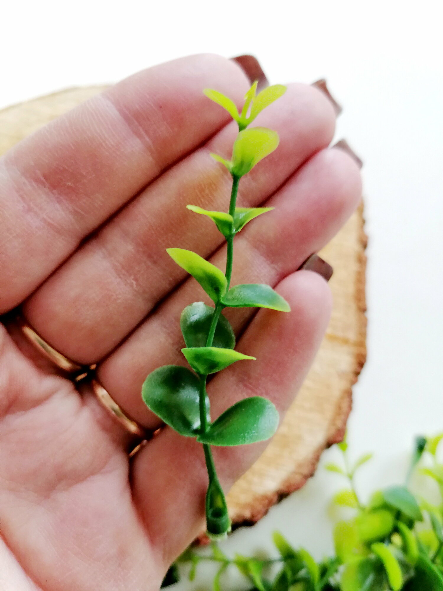 Искусственная зелень самшит Оливковый веточки 5 см 50 шт