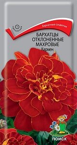 Семена Бархатцы отклоненные "Поиск" Кармен махровые 0,4г