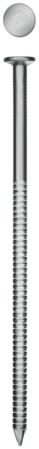ЗУБР 60 х 3.1 мм, ершеные гвозди, 5 кг (305130-060)