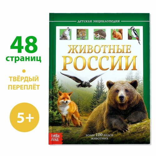 Детская энциклопедия в твёрдом переплёте «Животные России», 48 стр. детская энциклопедия в твeрдом переплeте животные россии 48 стр