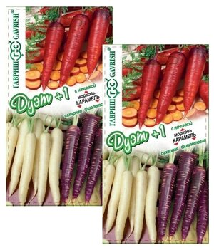 Морковь Карамель фиолетовая 0,1г + сахарная 0,1г + с начинкой 0,1г 2 пакета по 0,3г семян