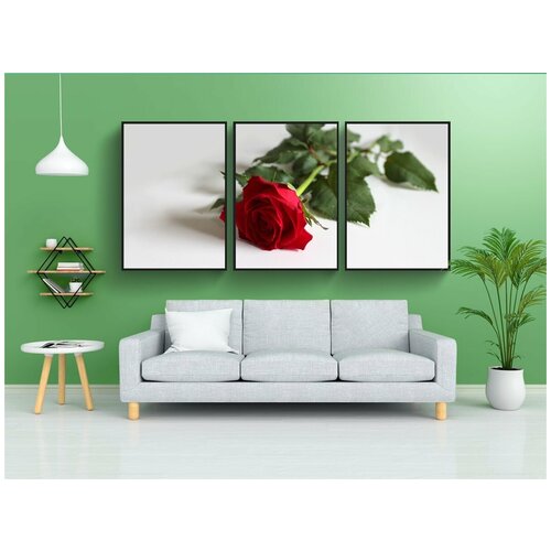 фото Набор модулных постеров для интерьера "красная роза, роза, задний план" 60x90 см. в тубусе, без рамки lotsprints