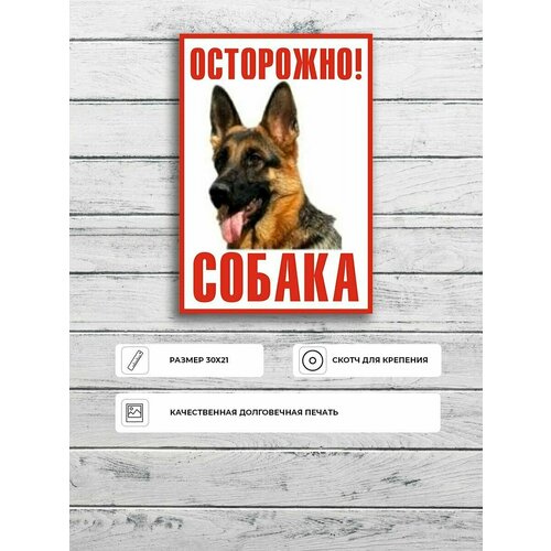 Табличка "Осторожно собака (овчарка)" А4 (30х21см)