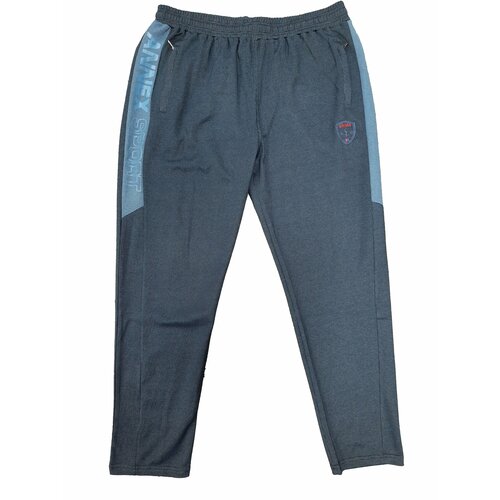 фото Спортивные штаны annex