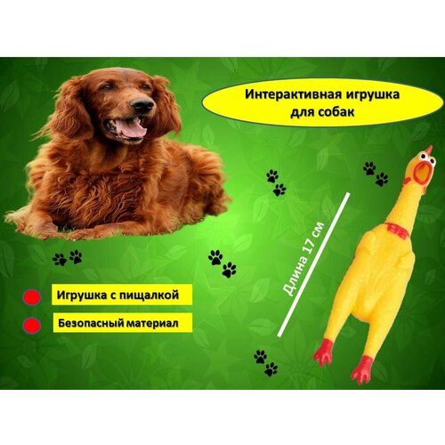 Игрушка для собак с пищалкой, 