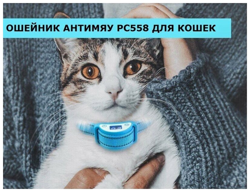 Ошейник антимяу для кошек PC-558 - фотография № 2