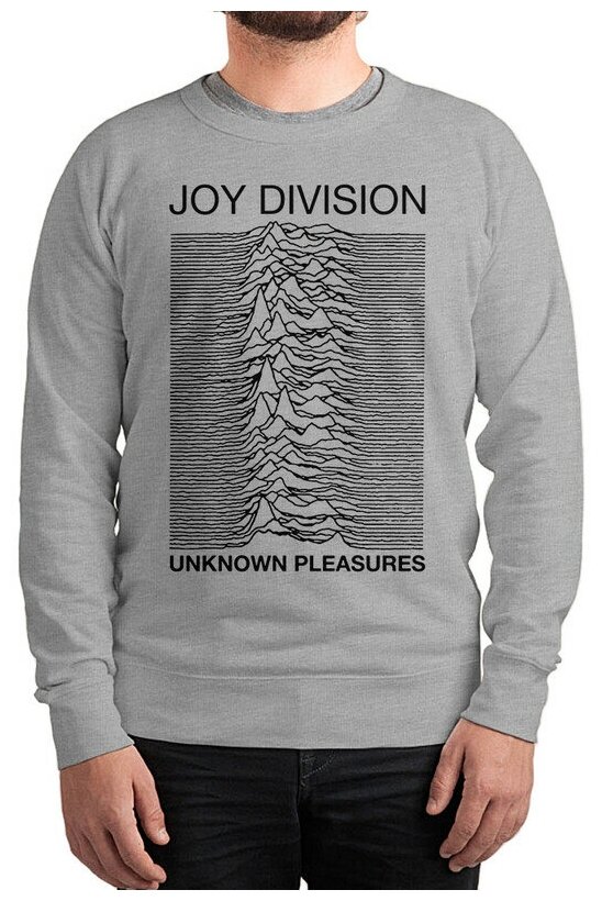 Свитшот DreamShirts Studio Joy Division 