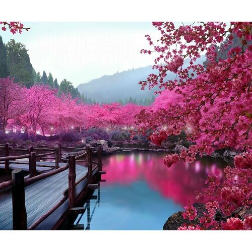 Моющиеся виниловые фотообои Цветущая сакура у воды. Япония, 300х250 см