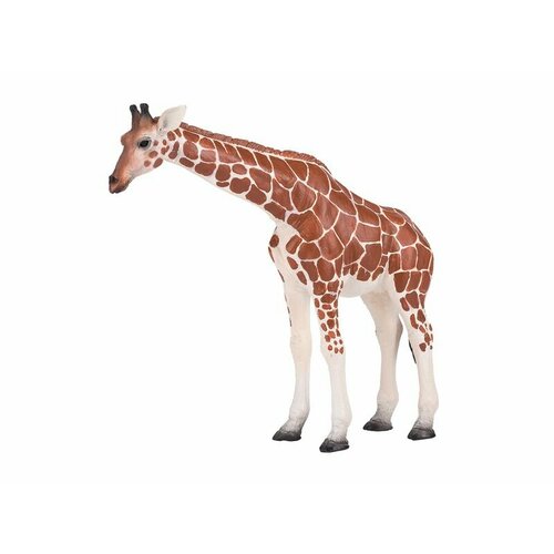 Фигурка KONIK Жираф, самка AMW2010
