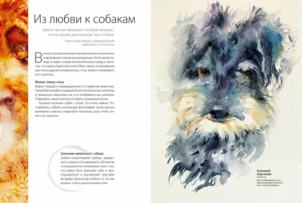 Животные акварелью от Джин Хэйнс. Медитативное рисование для контакта с собой и природой - фото №6