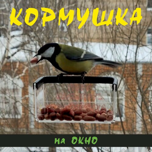 Кормушка для птиц на окно прозрачная без присосок Микра черный насест