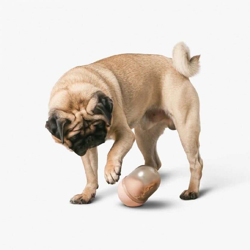 Capsule Pink Игрушка-фидер для собак — фото 1