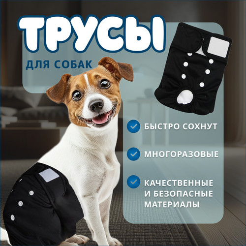 Трусы для собак BIG tiny, многоразовые, впитывающие, хлопок, черные. Подгузники для собак миниатюрных пород впитывающие.