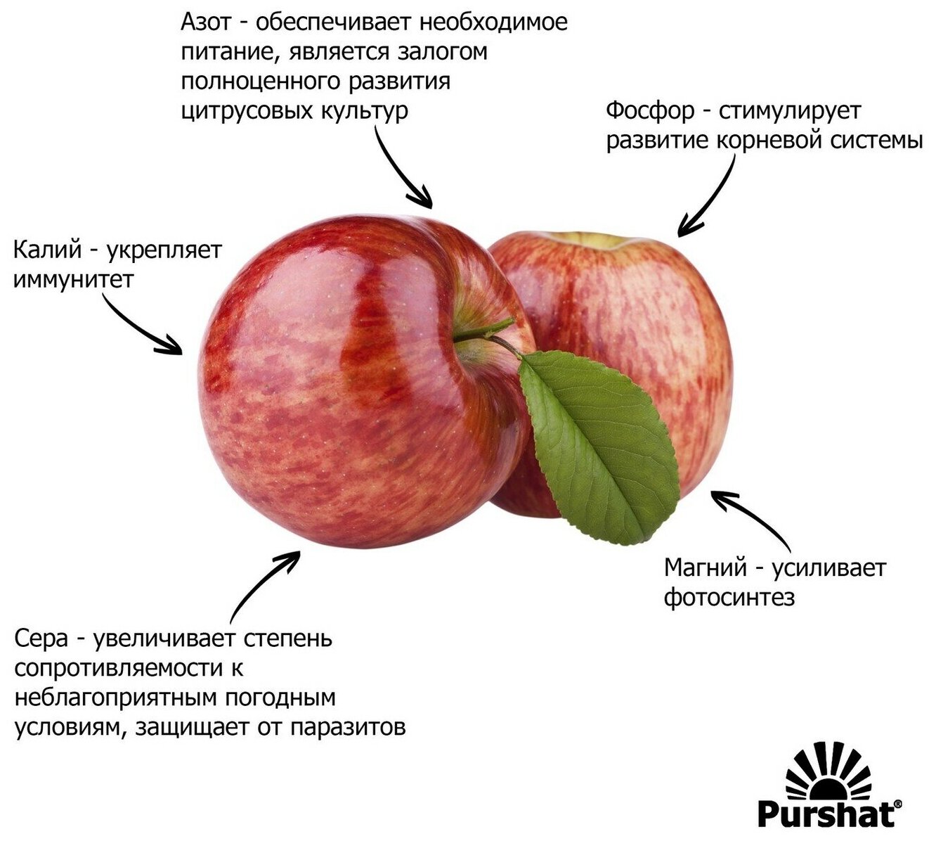 Удобрение "Пуршат-М" водорастворимое для плодовых и ягодных 1кг - фотография № 4