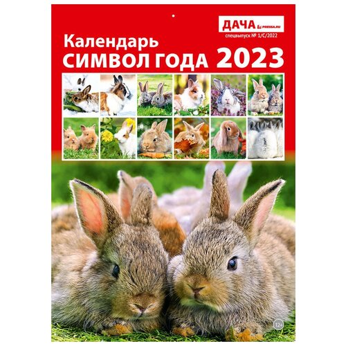 Календарь настенный перекидной на 2023 год (21 см* 29 см). Символ года.