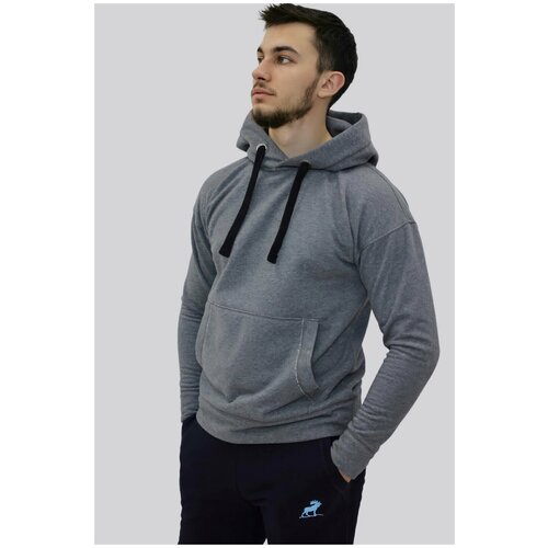 фото Толстовка-худи серая с капюшоном (xs) nashlosь