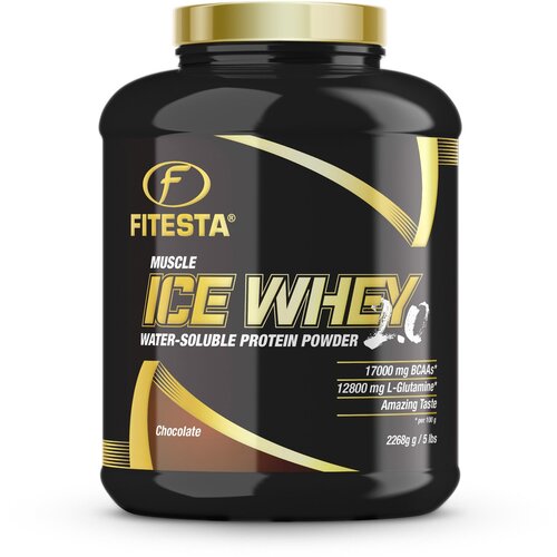 фото Концентрат и изолят сывороточного протеина fitesta muscle ice whey 2.0 шоколад 2268 гр