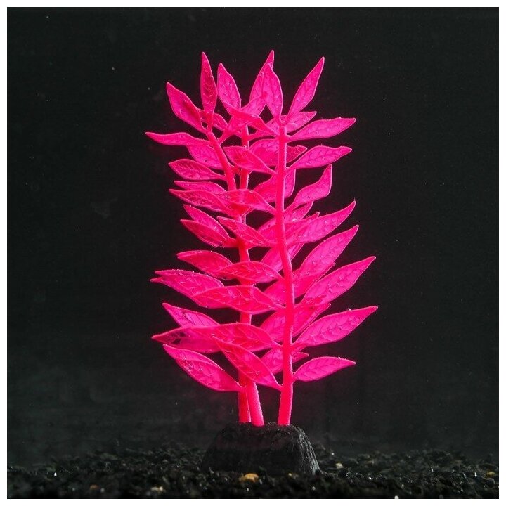 Растение силиконовое аквариумное, светящееся в темноте, 8 х 15 см, розовое 7108775 . - фотография № 1