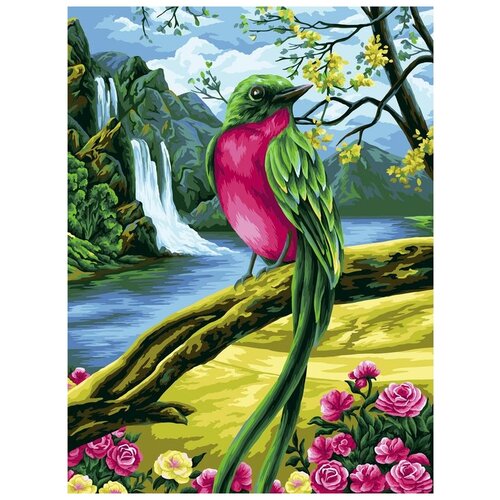 Купить Картина по номерам «Райская птичка», 30x40 см, Фрея, ФРЕЯ, Картины по номерам и контурам
