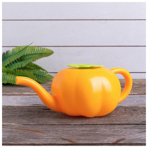 Лейка 055 л без рассеивателя Тыква 439₽