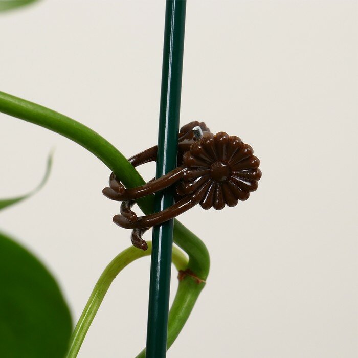 Клипса для растений «Цветы», набор 10 шт., коричневая - фотография № 2