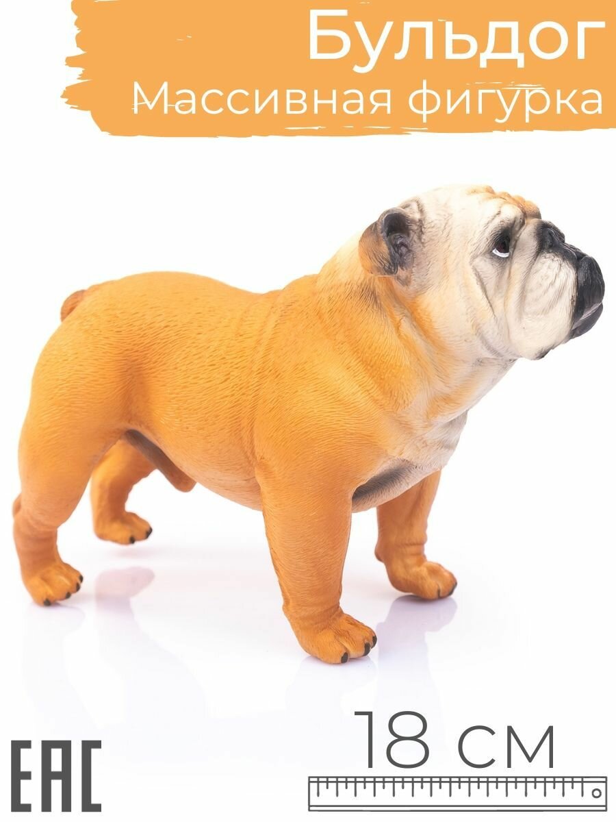 Коллекционная фигурка Английский Бульдог, 18 см / Большая фигурка собаки