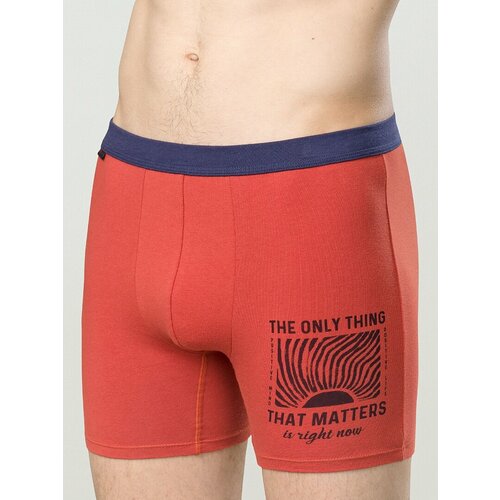 фото Трусы pelican хлопковые, размер xxl (52), красный