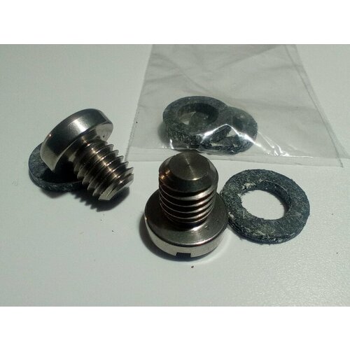 фото Пробка редуктора лодочного мотора с запасной прокладкой. россия