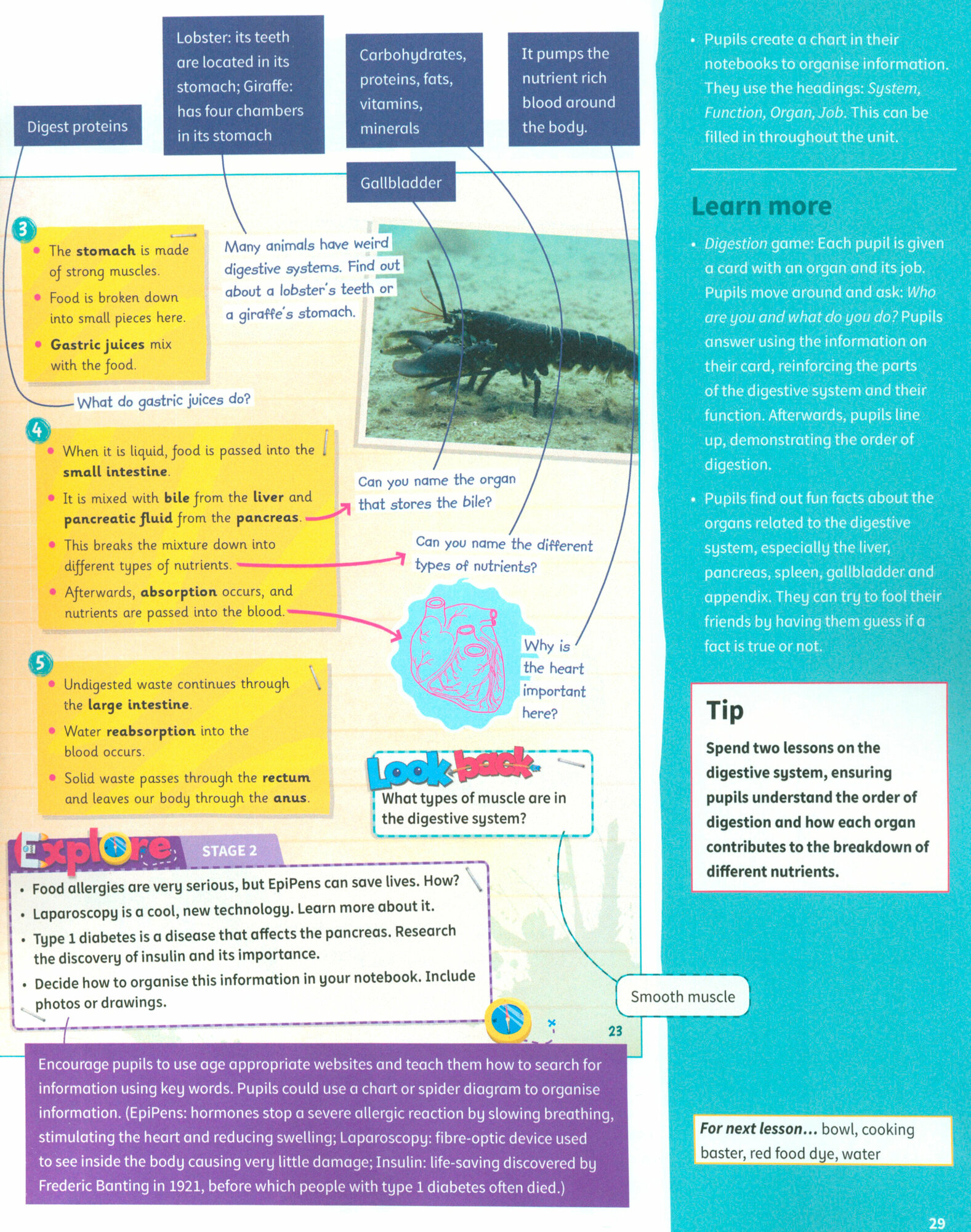 Science Skills. Level 6. Teacher's Book with Downloadable Audio - фото №2