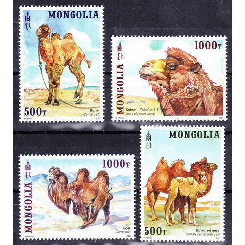 Почтовые марки Монголия 2022г. Верблюды Верблюды MNH почтовые марки монголия 1971г животноводство коровы лошади верблюды mnh