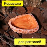 Кормушка поилка для ящериц, пауков, игуан, хамелеонов, рептилий и черепах для террариума и аквариума - изображение