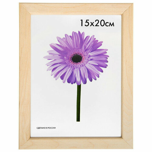 Фоторамка sasha 150х200мм некрашеная дерево 861₽