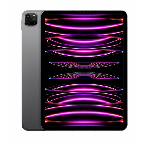 129 Планшет Apple iPad Pro 129 2022 1 TБ Wi-Fi iPadOS космический серый 16900000₽