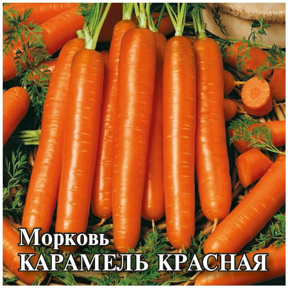 Семена Морковь Карамель красная 10г Гавриш Фермерское подворье