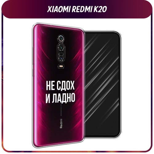 Силиконовый чехол на Xiaomi Redmi K20/K20 Pro/Xiaomi Mi 9T/9T Pro / Сяоми Редми К20 Не сдох и ладно, прозрачный силиконовый чехол на xiaomi redmi k20 k20 pro xiaomi mi 9t 9t pro сяоми редми к20 scrooge mcduck with a gold chain прозрачный