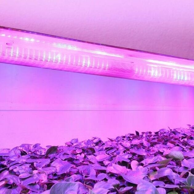 Светильник для растениеводства ВСЕСВЕТОДИОДЫ - фото №7