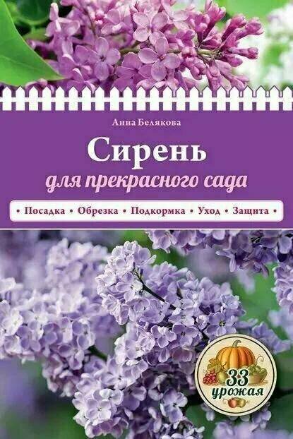 Белякова Анна Владимировна "Сирень для прекрасного сада"