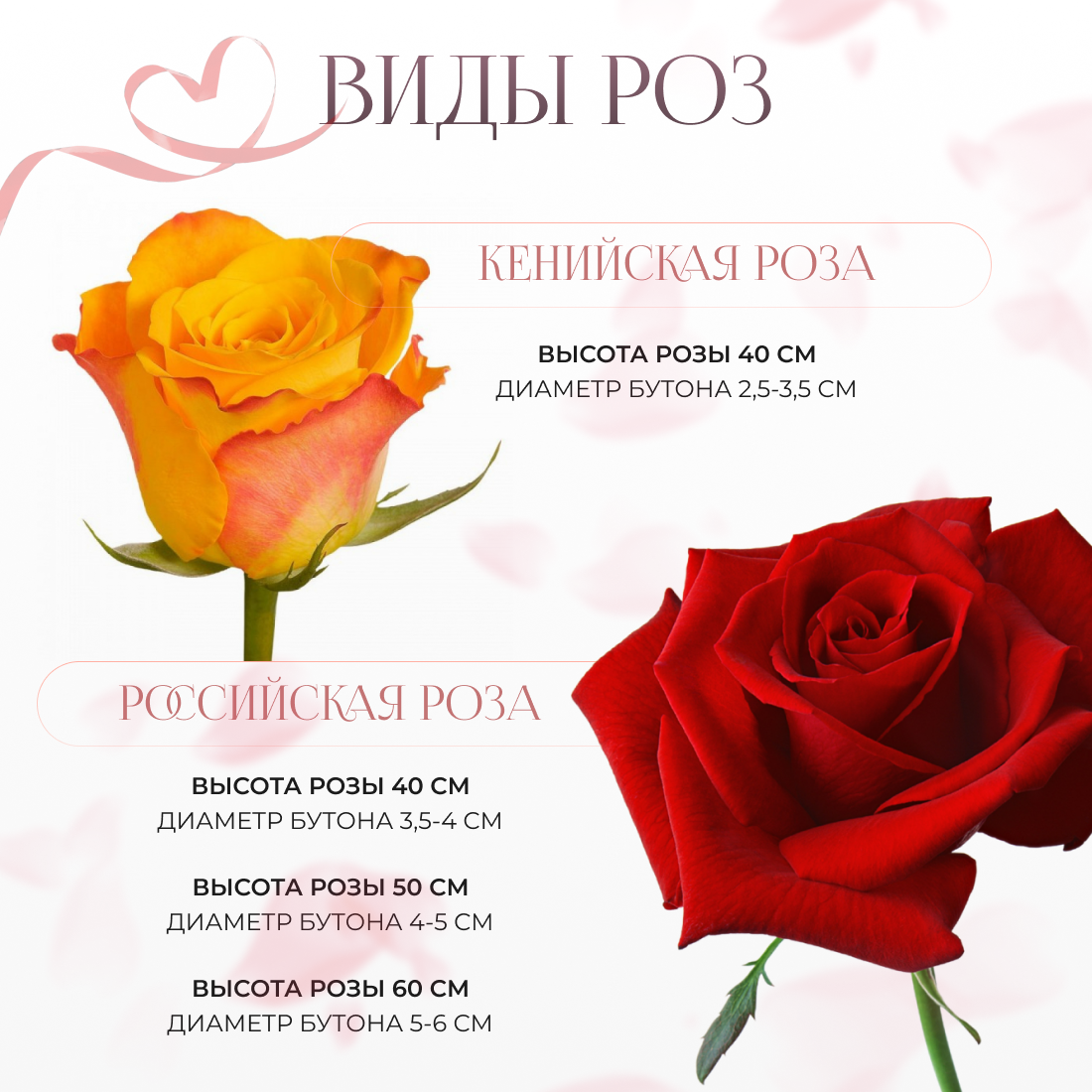 Букет живых цветов из 15 красных роз 40см