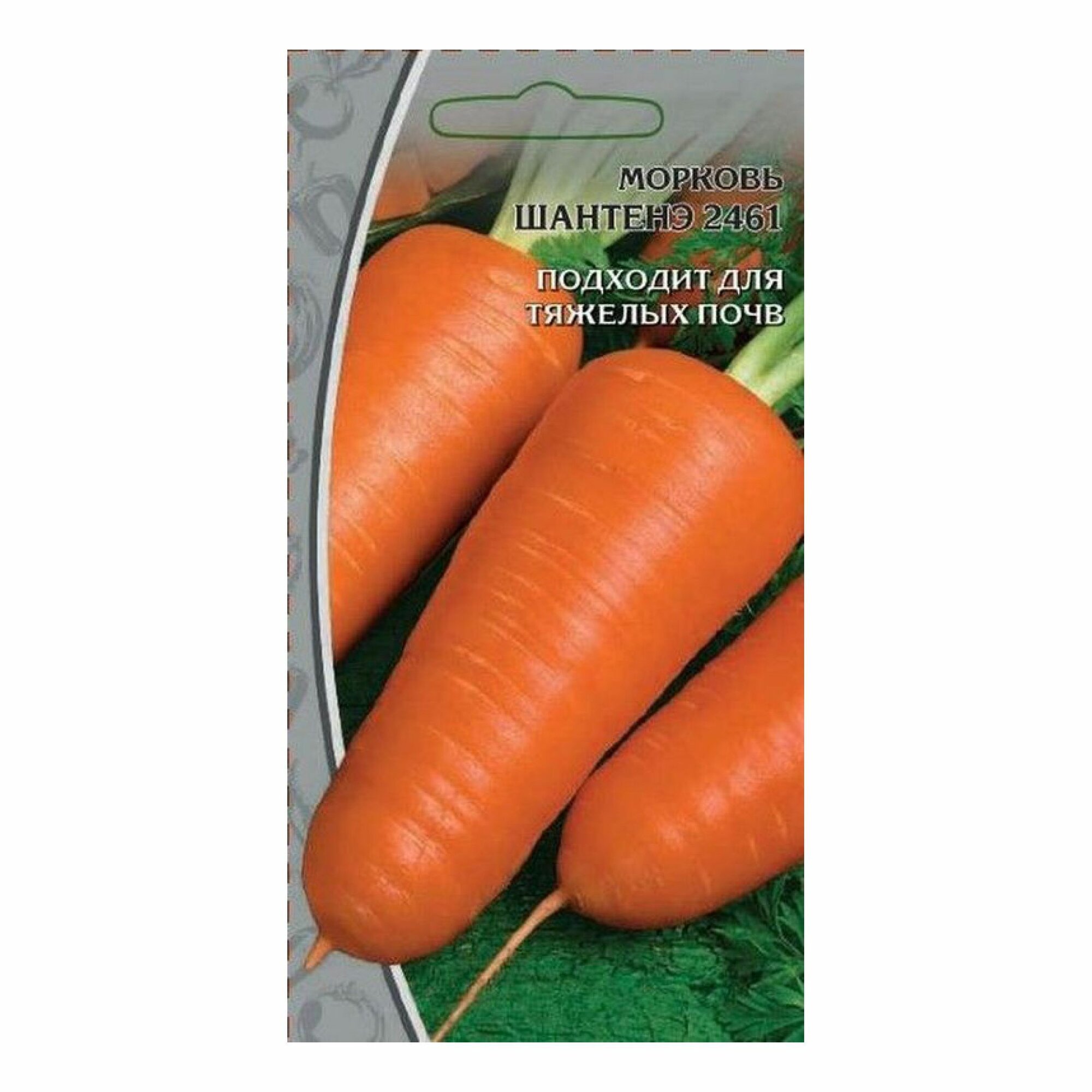 Семена Моркови Шантанэ 2г