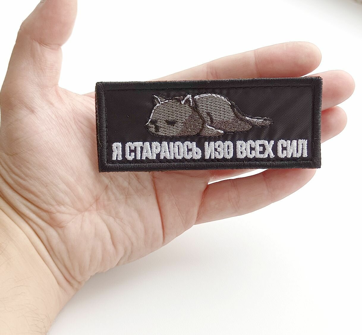 Нашивка, Шеврон на липучке велкро "Котик, Not Today, Стараюсь изо всех сил", 100х40мм, Фабрика Вышивки — фото 1
