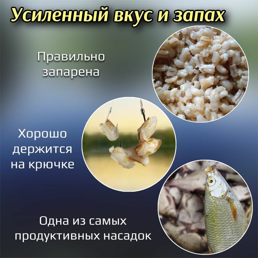 Насадка рыболовная / Наживка для рыбалки на крючок ( распаренная перловка ) Приманка для карпа карася плотвы на леща / добавка клубника — фото 1
