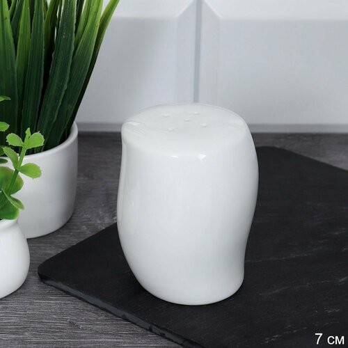 Солонка емкость для специй 7 см из фарфора 375₽