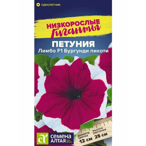 Семена Петуния Лимбо F1 Бургунди пикоти Однолетние 10 шт./уп. х 3 уп. семена цветов маттиола карликовая набор 3 уп