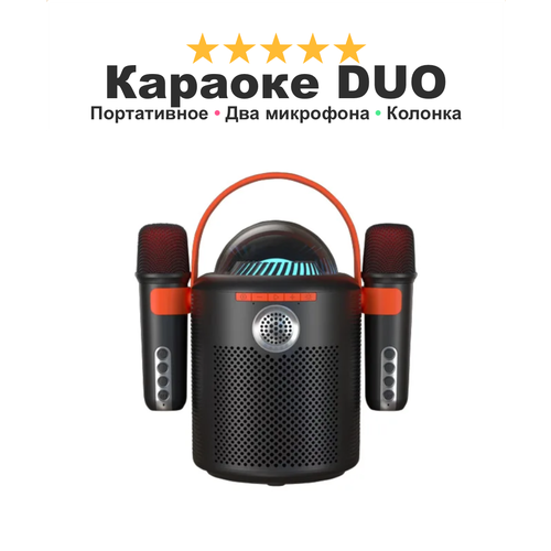 Беспроводная блютуз колонка караоке DUO SING, можно петь дуэтом для вечеринок мощный басс, черная