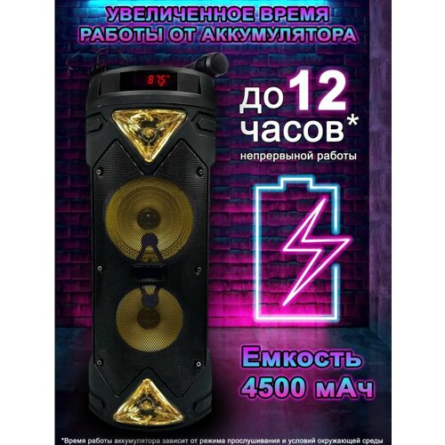 Беспроводная колонка ZQS6203 Bluetooth с микрофоном для караоке с подсветкой FM Radio MP3 AUX 456000₽