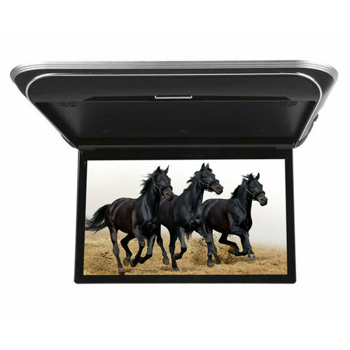 Автомобильный потолочный монитор 156 Ergo ER15M черный 23206₽