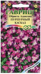Семена цветов "Гавриш" Обриета "Пурпурный каскад", 0,05 г